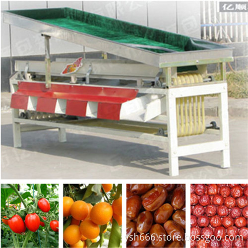 Jujube sorting machine factory price YSXT-1C